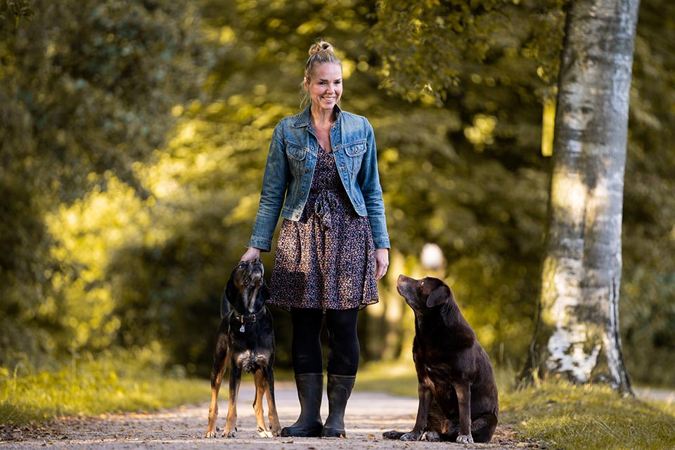 hundetraining norderstedt hamburg umgebung