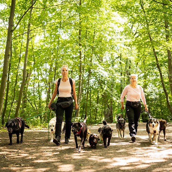 gassiservice startseite