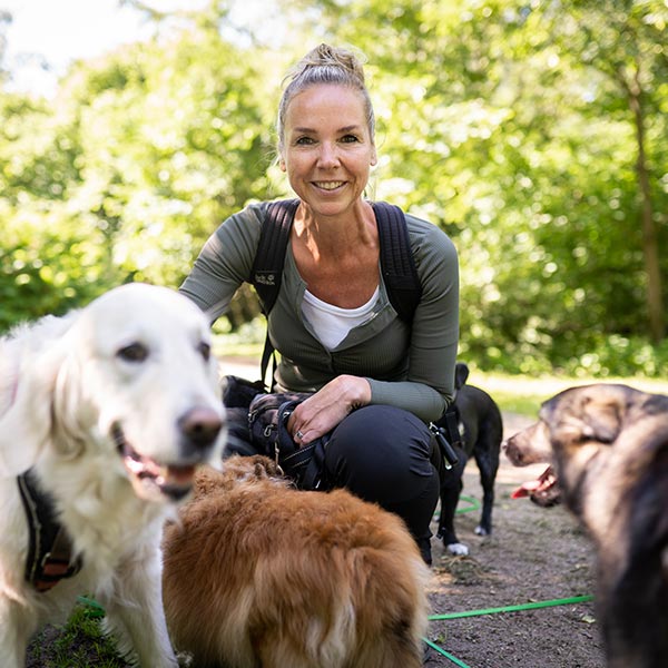 hundetraining startseite